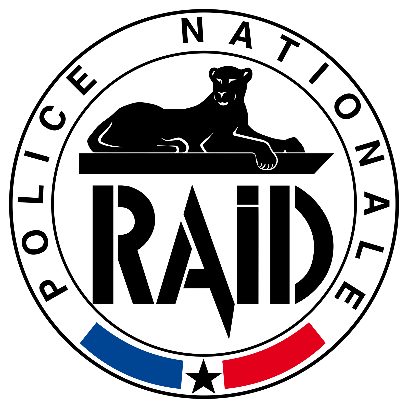 RAID - Police Nationale